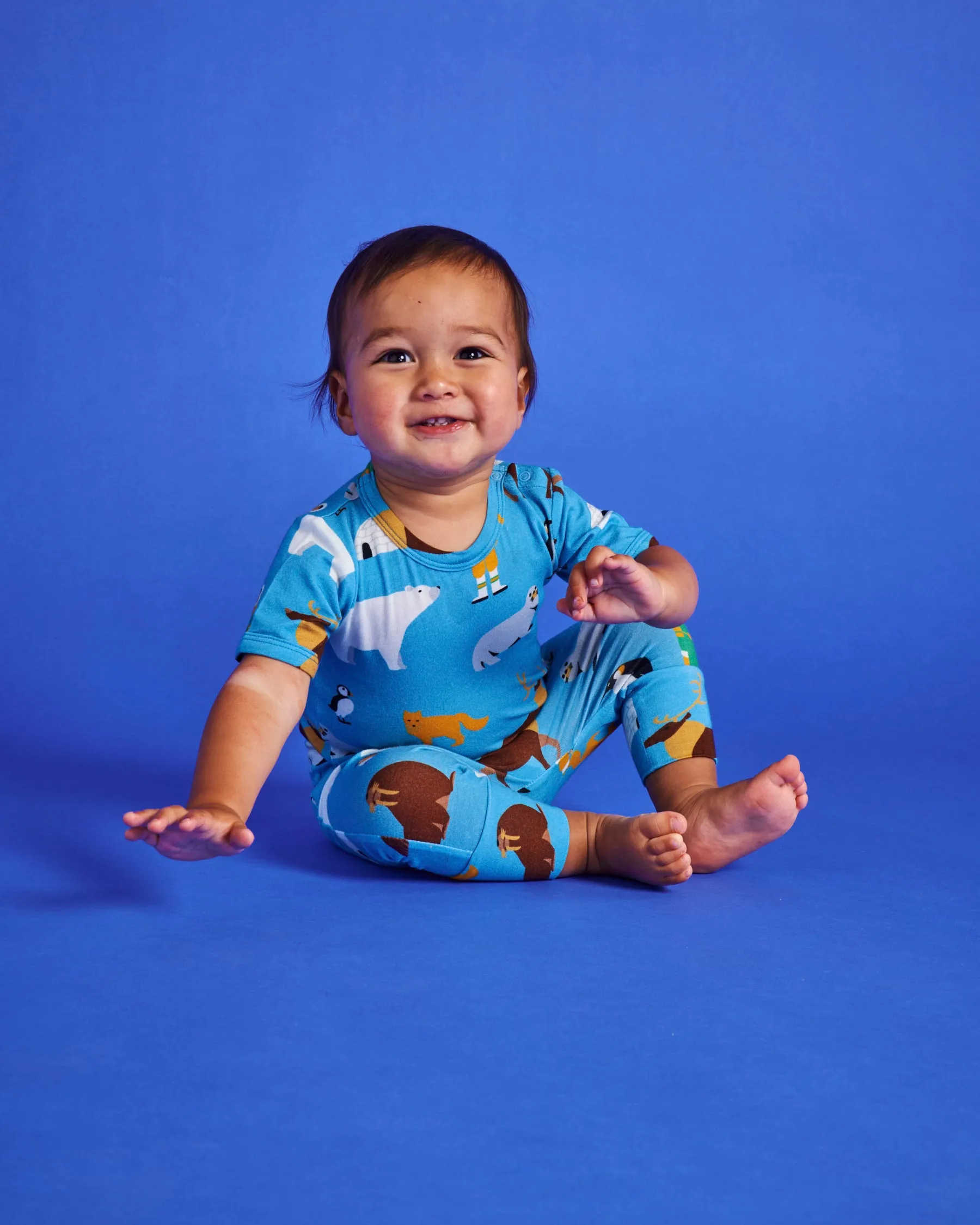 Arctic Circle Baby Bundle