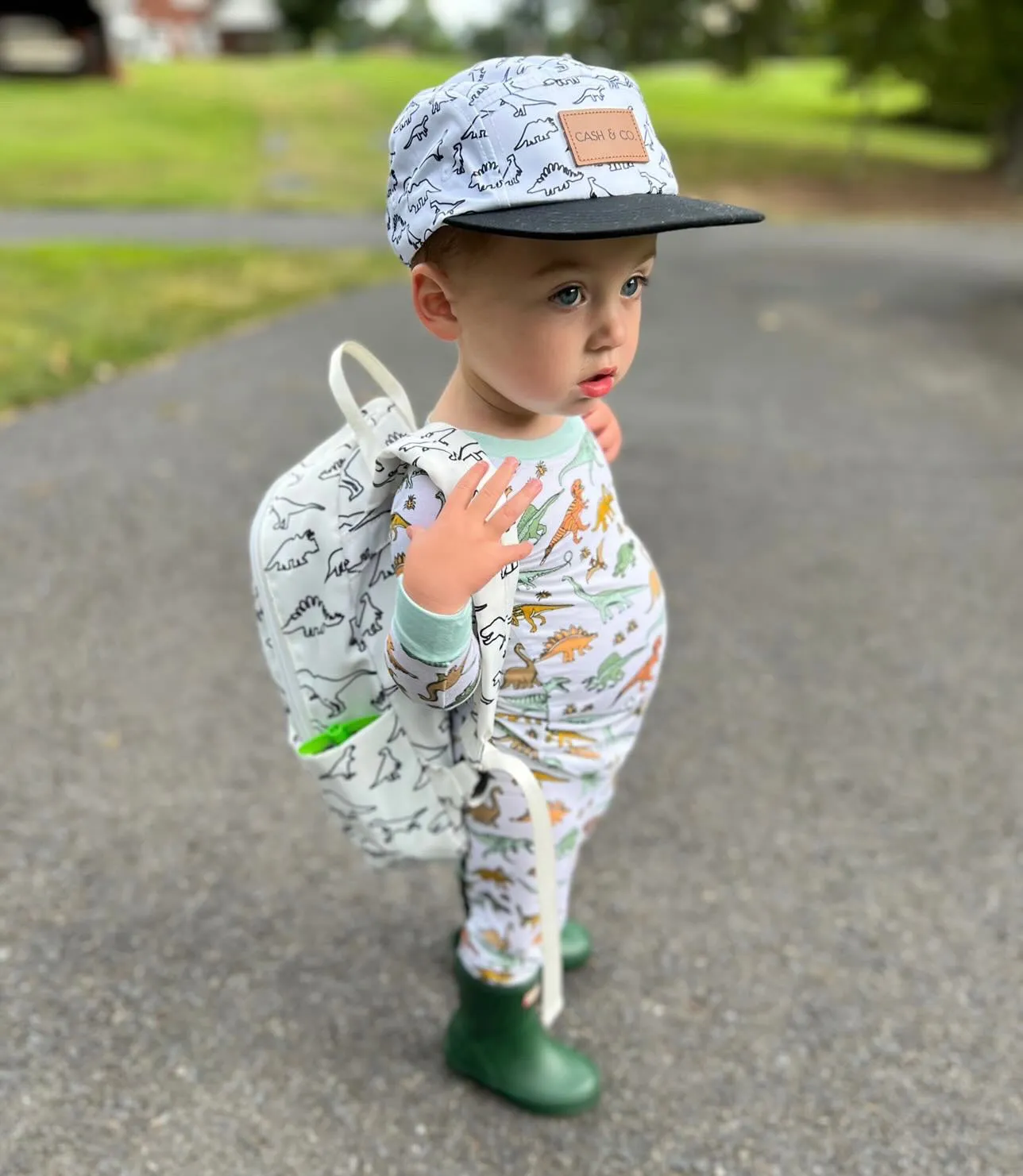 Dinosaur Dream Set