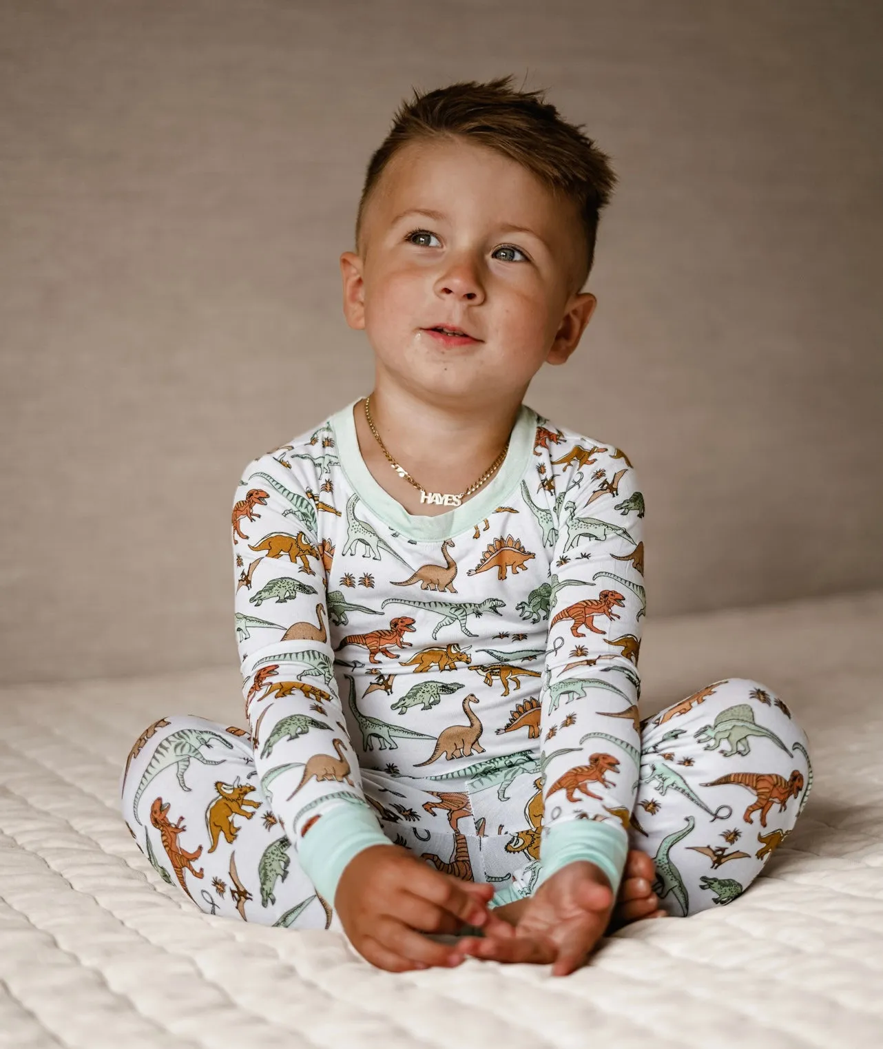 Dinosaur Dream Set