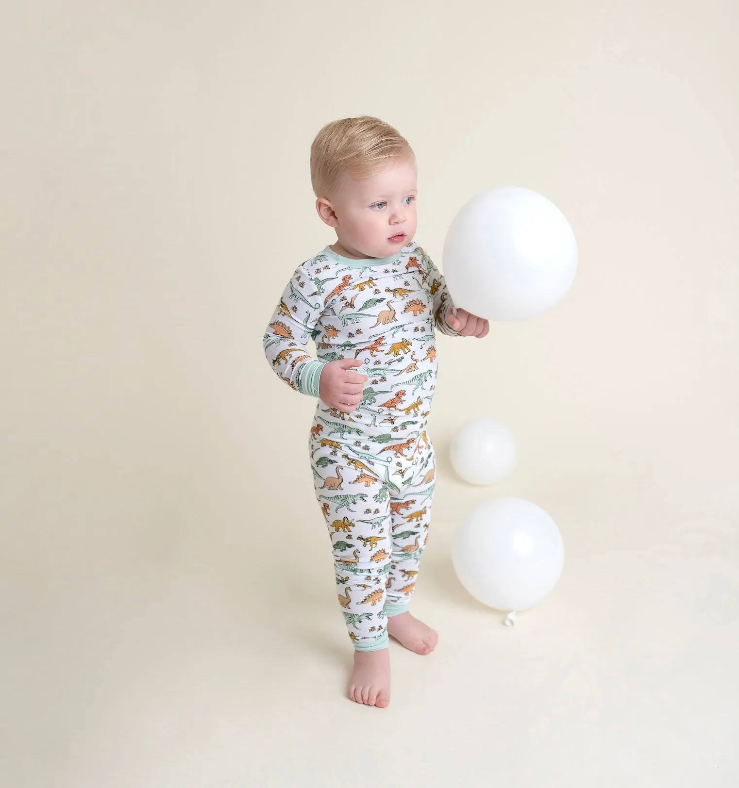 Dinosaur Dream Set