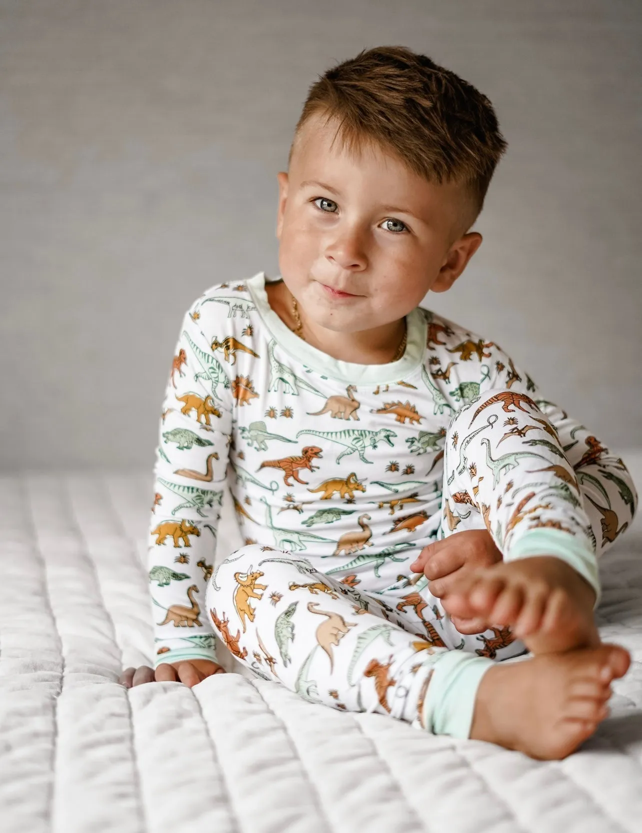 Dinosaur Dream Set