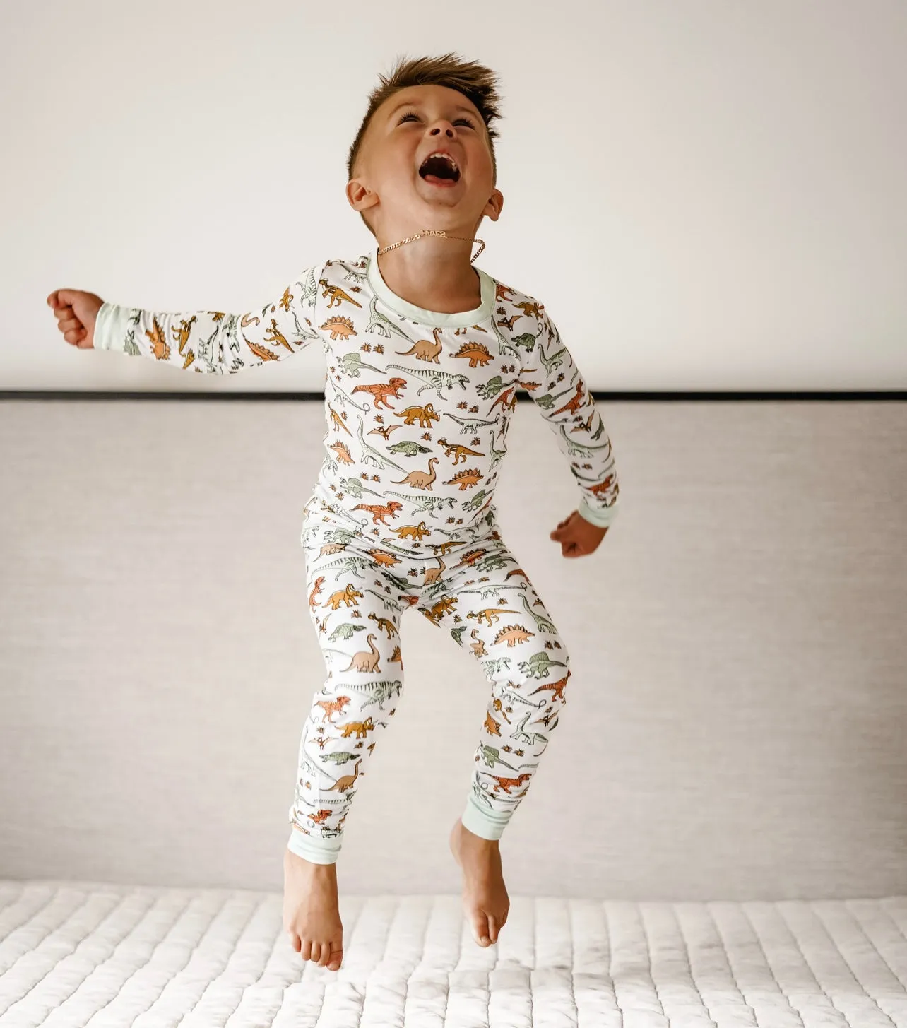 Dinosaur Dream Set