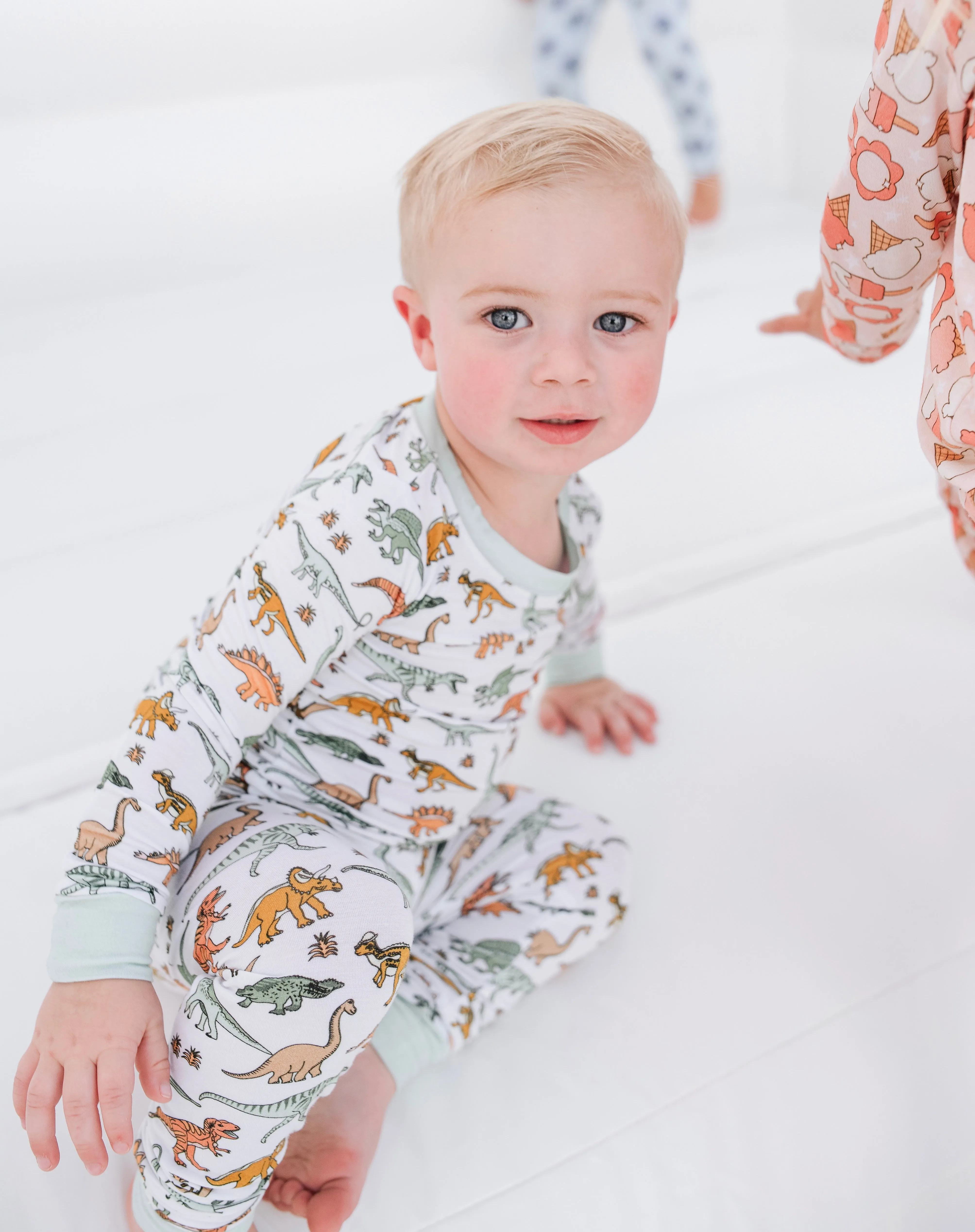 Dinosaur Dream Set