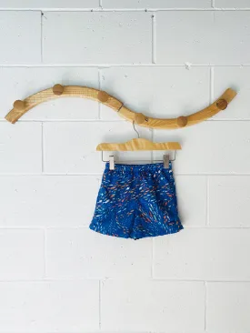 Patagonia Fishy Quick Dry Shorts, 3 years
